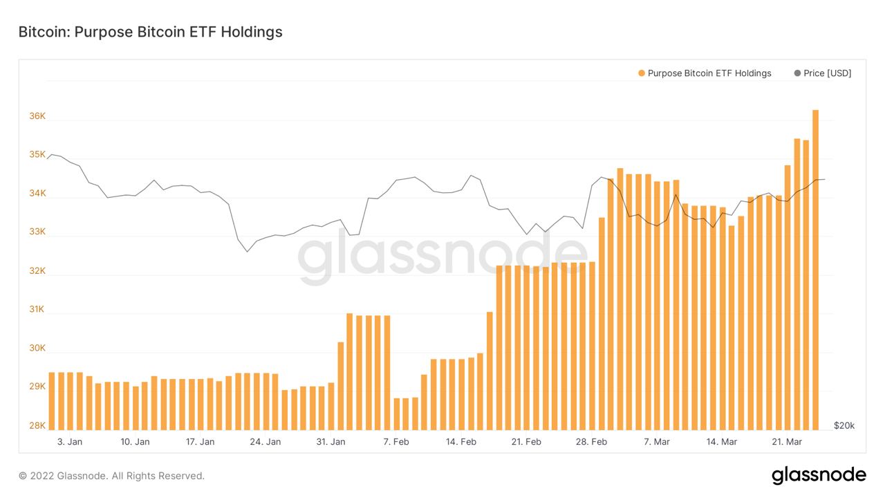 加拿大比特币基金Purpose Bitcoin ETF 年初至今比特币持有量增加23% - Foresight News