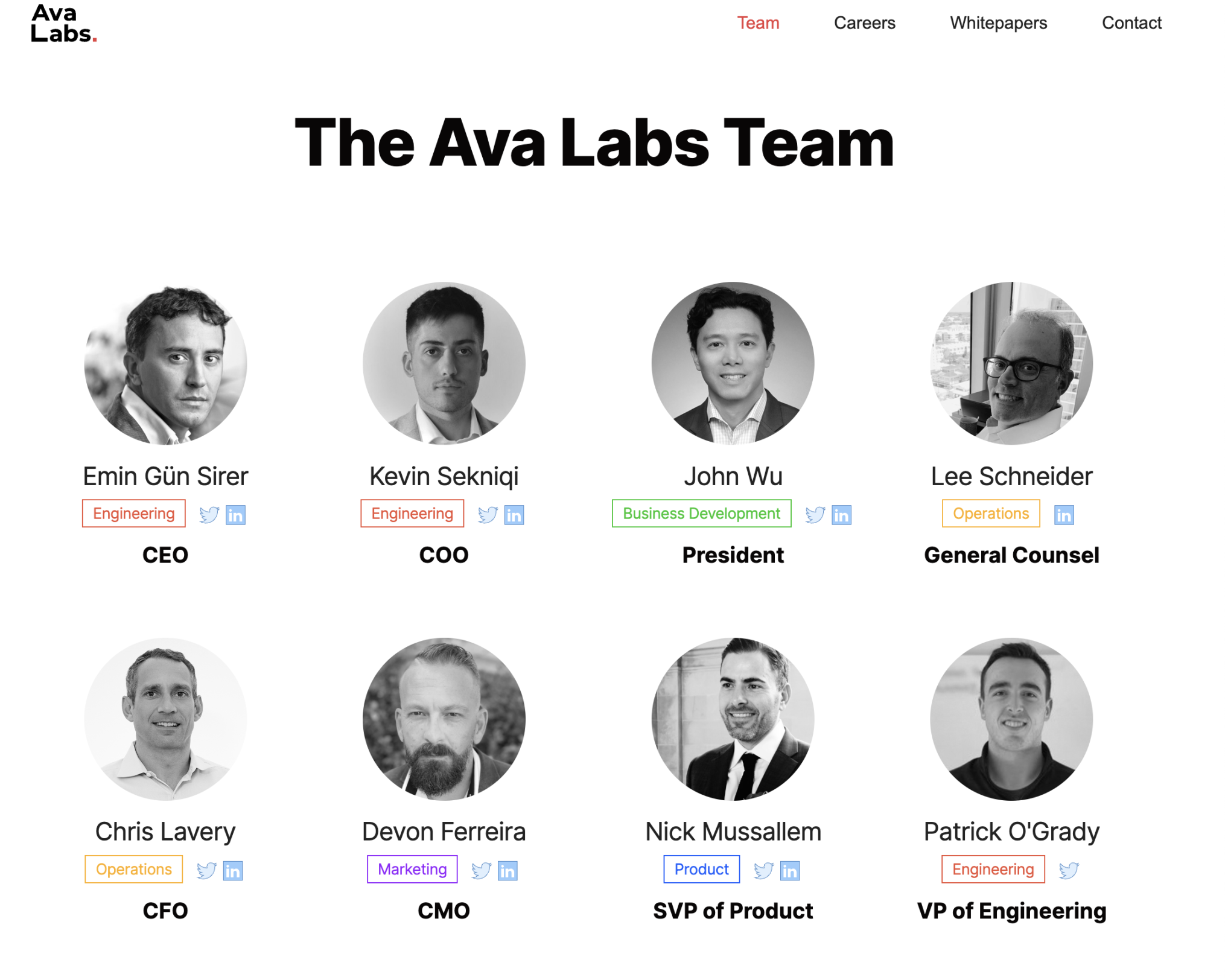 AVA Labs Team