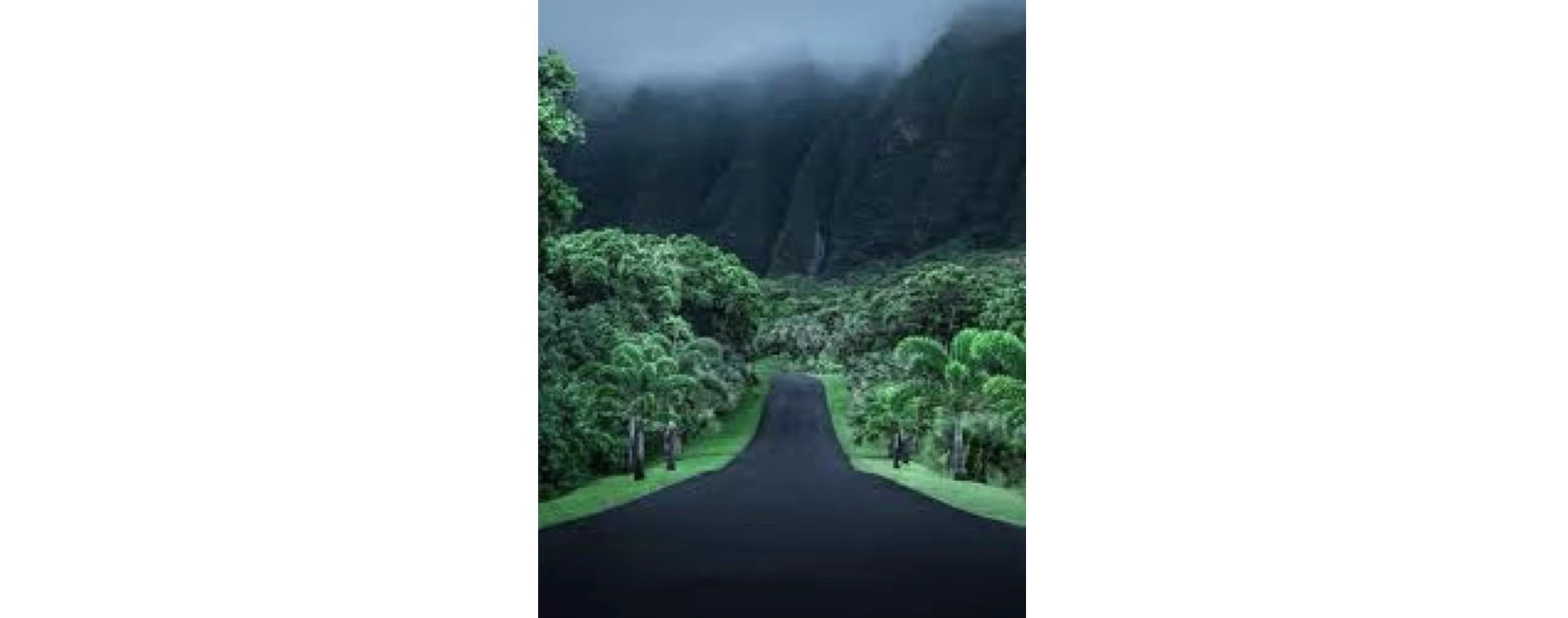 #FreeHawaii Photo 创作者： Cath Simard
