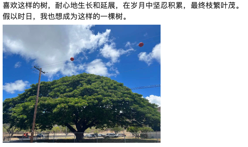图片来源:Cheryl Liu 朋友圈