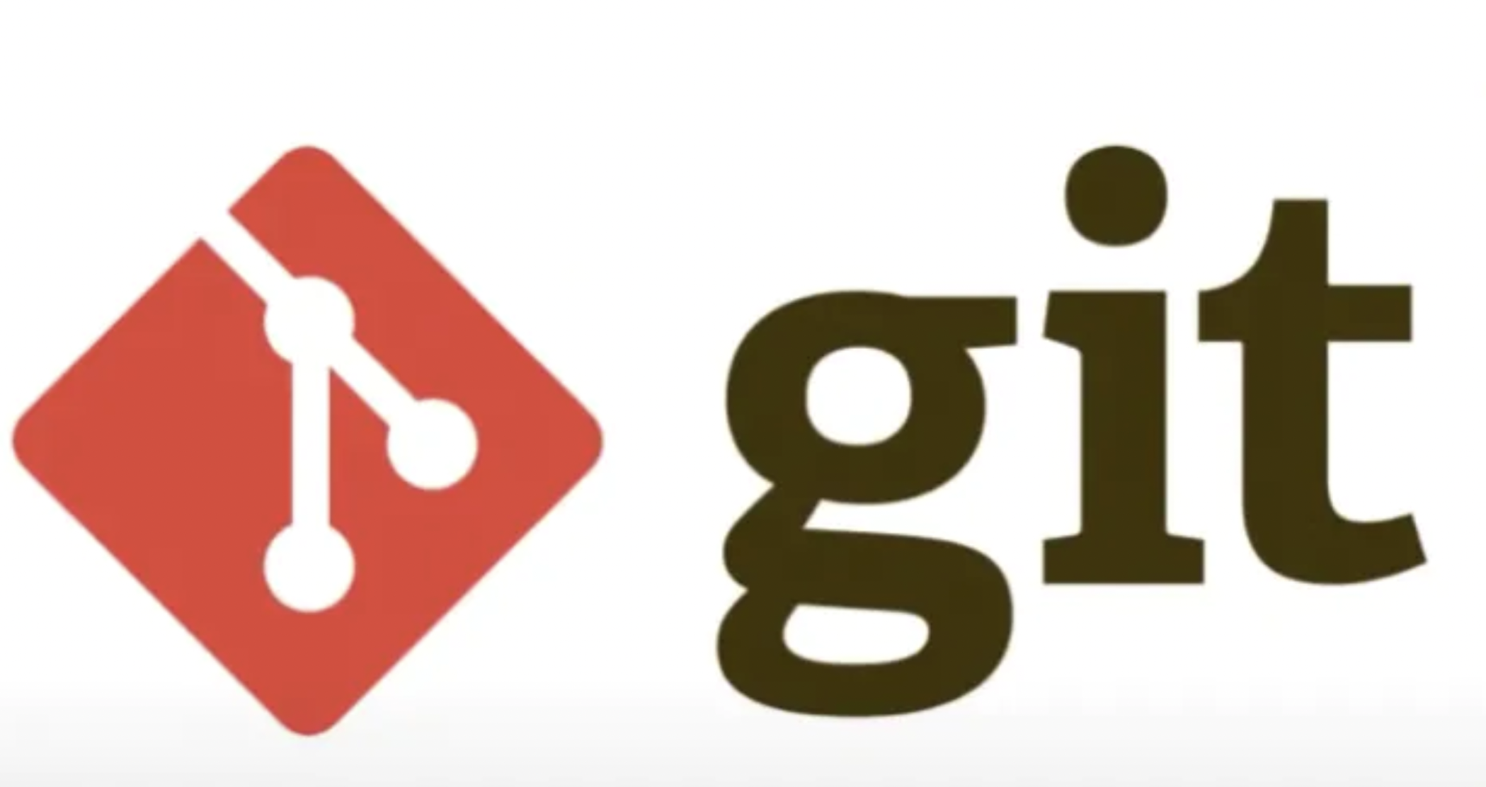 Git, the most popular version control system.