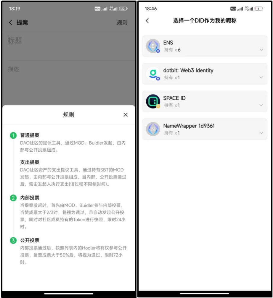 图 7  DeBox 群资产（DAO）管理提案规则（左图）和 DeBox 多域名社交展示（右图）