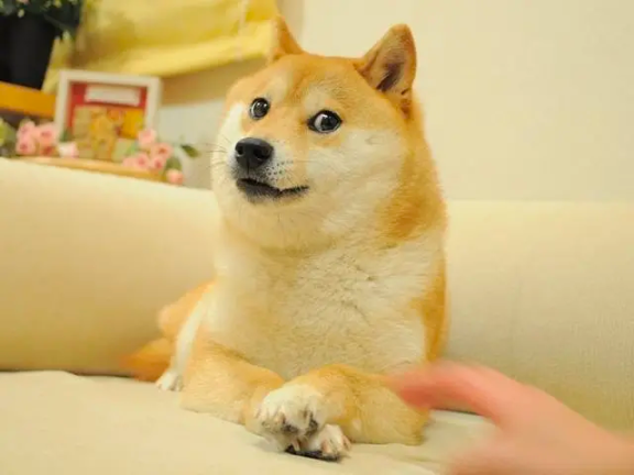 DogeCoin：Crypto历史上最独特的一面旗帜