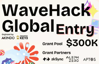 WaveHack Global ENTRY Form