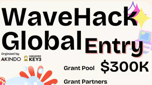 WaveHack Global ENTRY Form