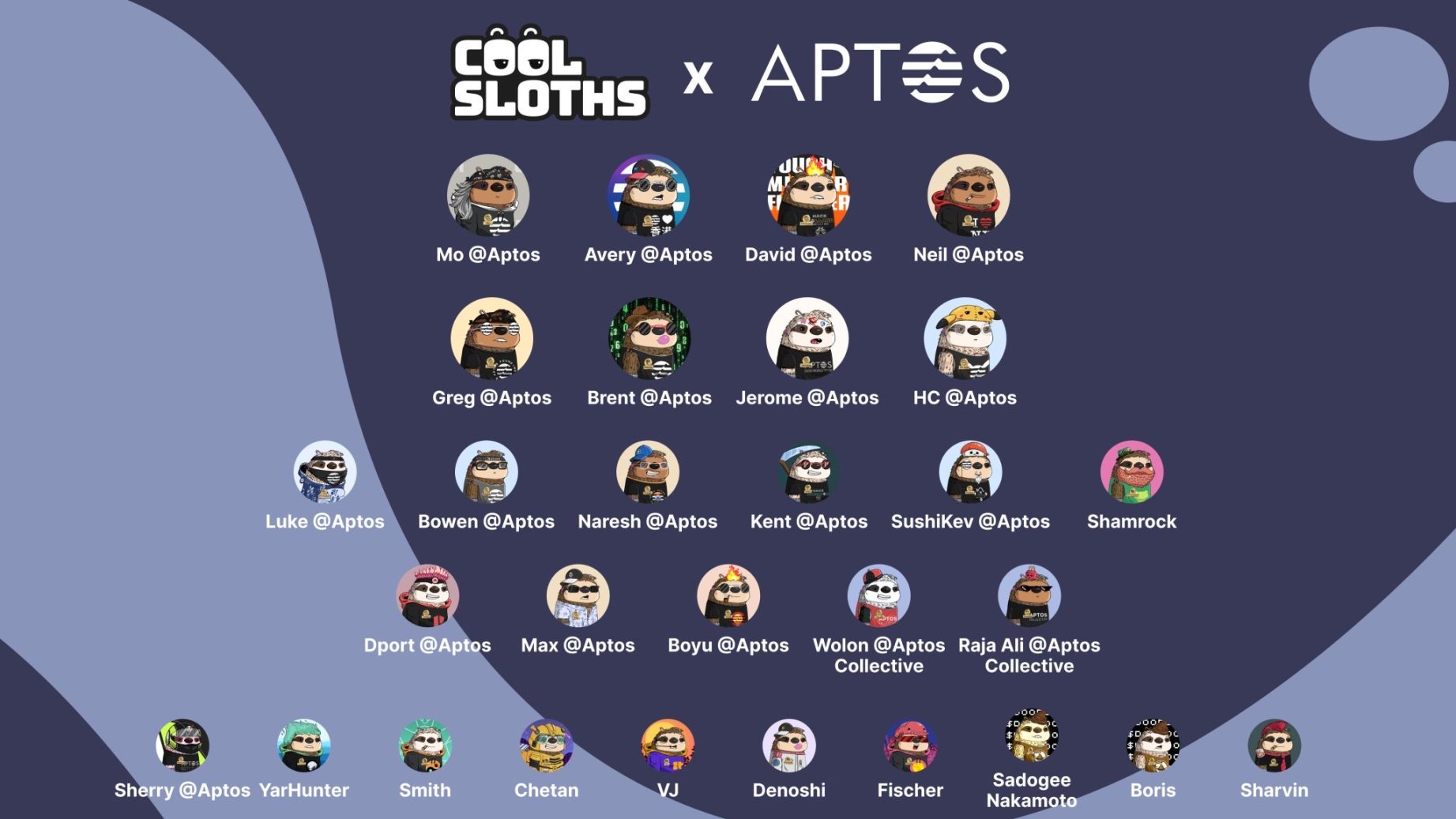 Why did Cool Sloths make half of the Aptos ecosystem switch to PFP?