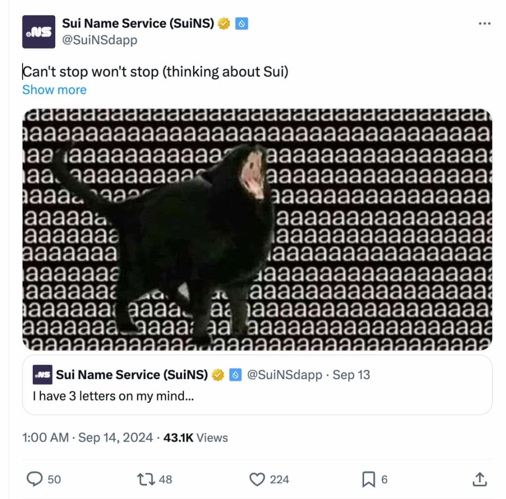 Sui生态Meme季来袭,12个热门Meme一览