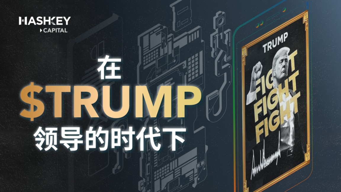 在 TRUMP 领导的时代下插图