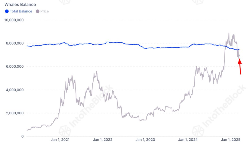 After three months of decline, on-chain data shows that a bullish rebound is imminent?