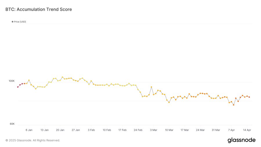 glassnode：比特币囤积趋势指数创年内新高，大额持有者重新进入积累模式