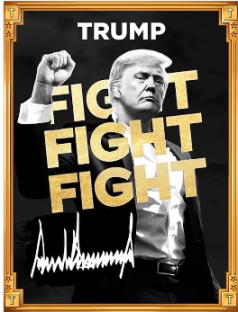 What is the Official TRUMP Meme Coin? A Beginner's Guide