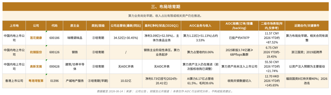 Uweb report says listed companies’ AIDC shift hinges on contracts, power access and financing routes 5